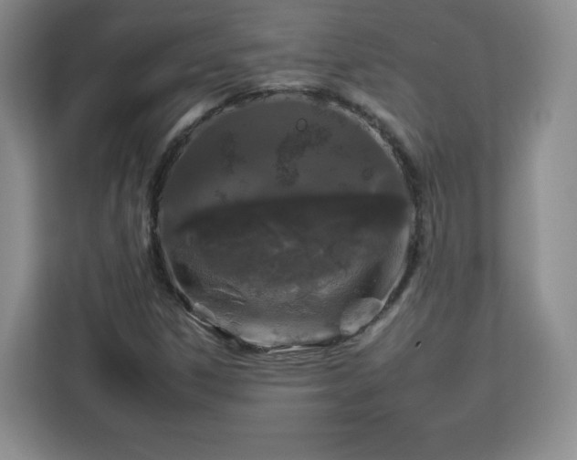 X0000112931306200908311309