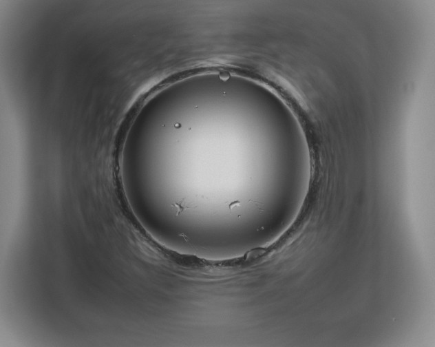 X0000112931308200908311309