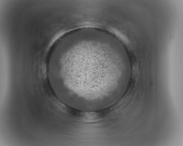 X0000112931310200908311309