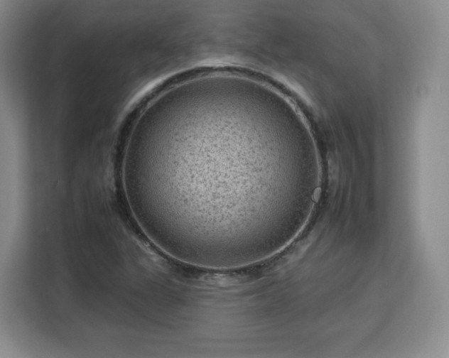 X0000112931311200908311309