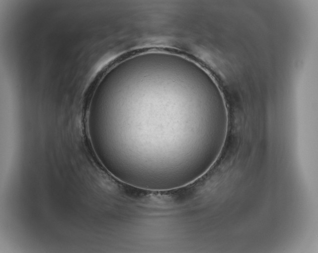 X0000112931312200908311309