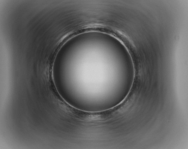 X0000112931313200908311309