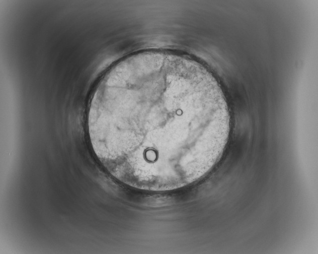 X0000112931314200908311309