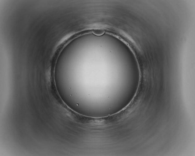 X0000112931315200908311309