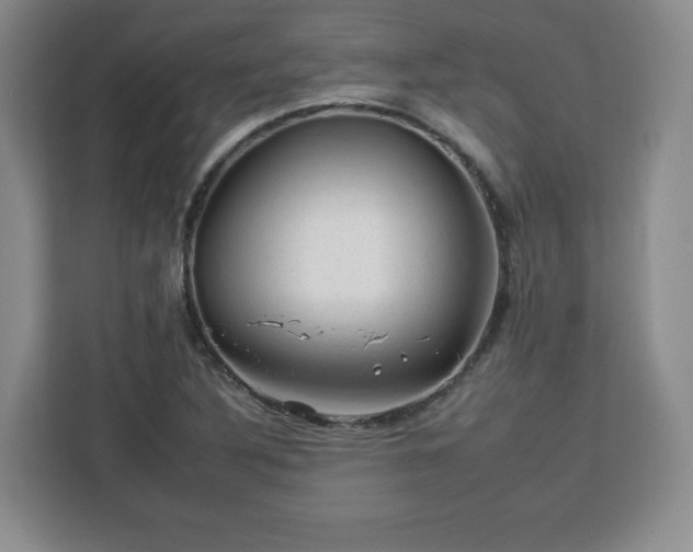 X0000112931316200908311309