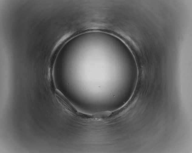 X0000112931317200908311309