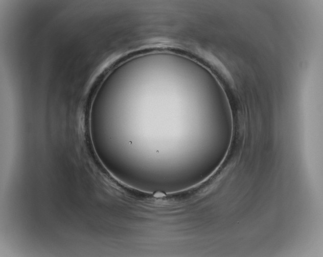 X0000112931318200908311309