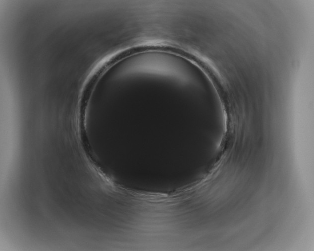 X0000112931319200908311309