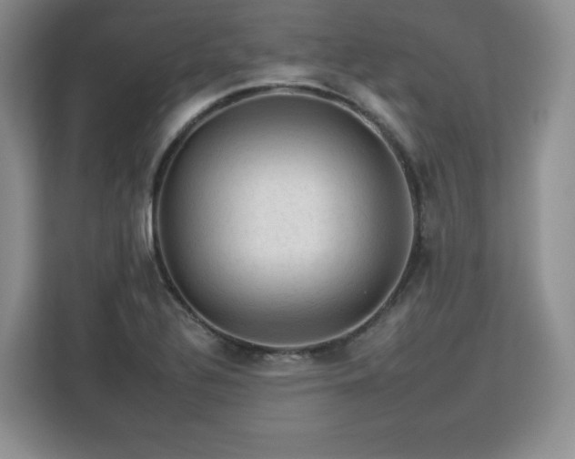 X0000112931320200908311309