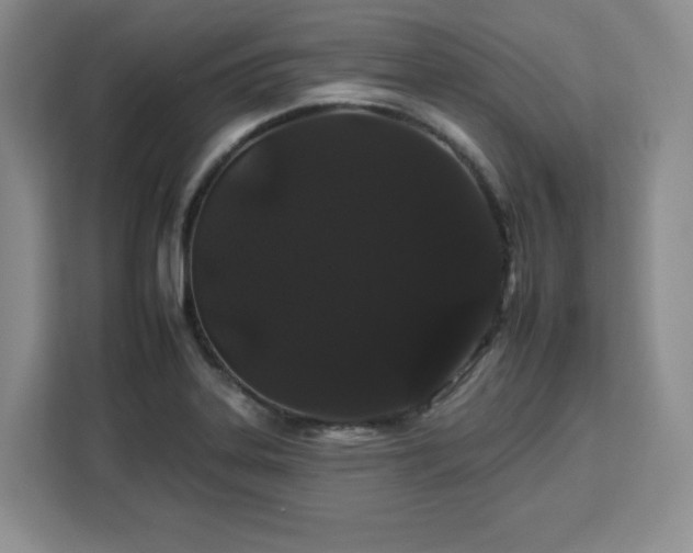 X0000112931323200908311309