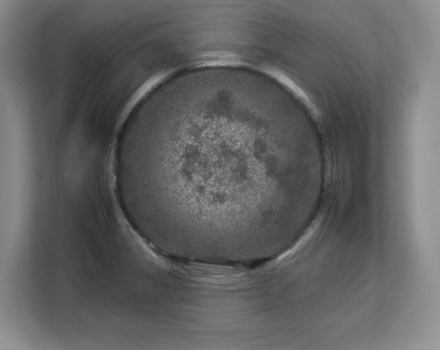 X0000112931325200908311309