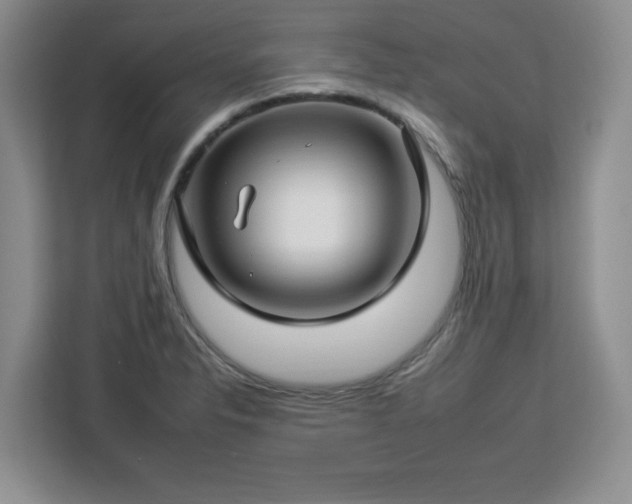 X0000112931326200908311309