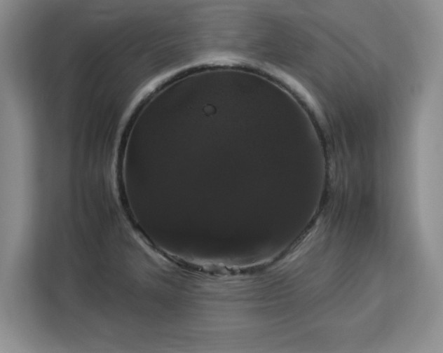 X0000112931327200908311309