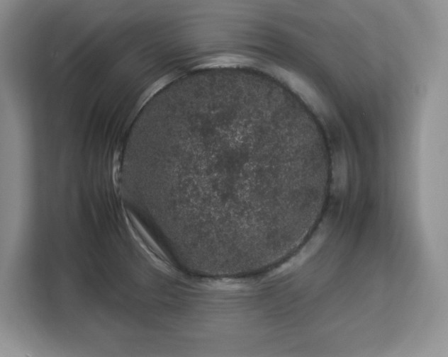 X0000112931329200908311309