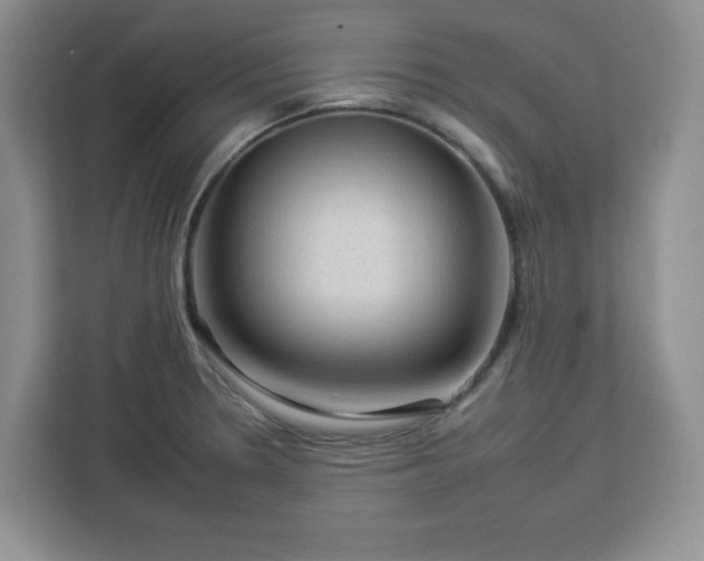 X0000112931330200908311309