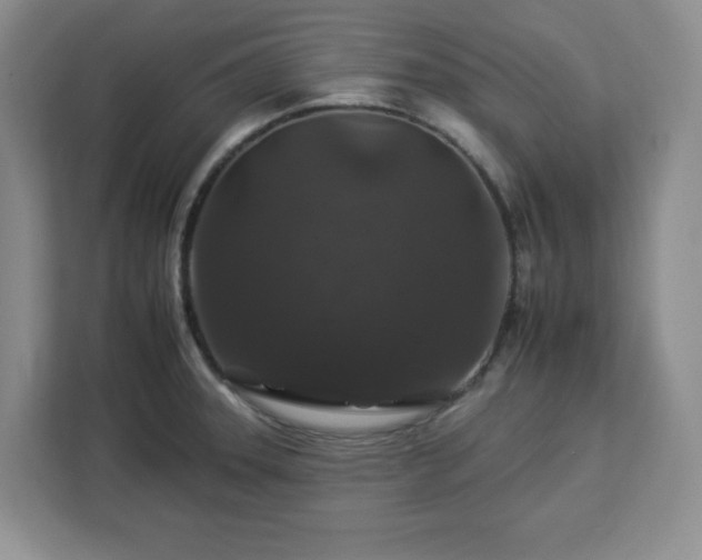 X0000112931331200908311309