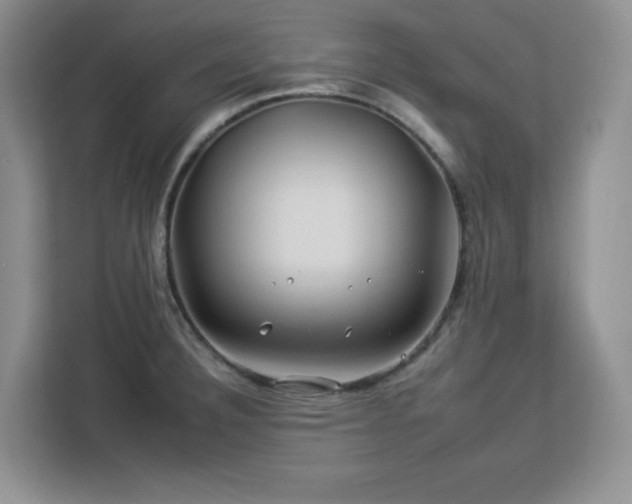 X0000112931332200908311309