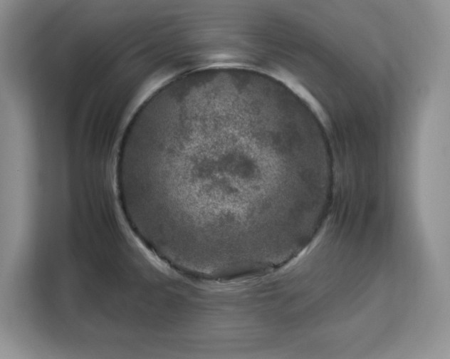 X0000112931333200908311309