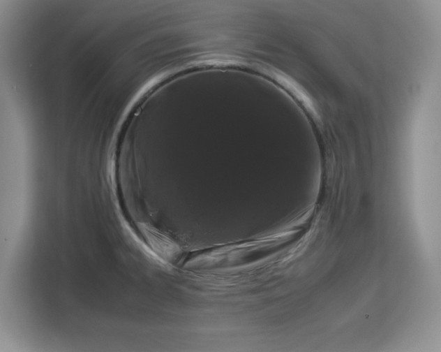 X0000112931334200908311309