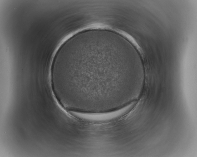 X0000112931335200908311309