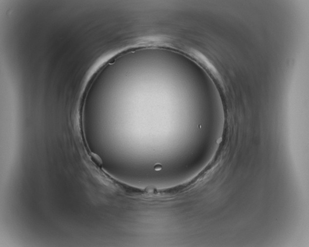 X0000112931336200908311309