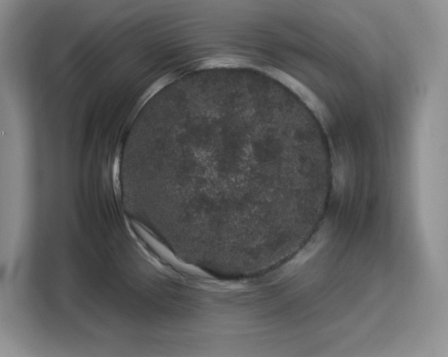 X0000112931337200908311309