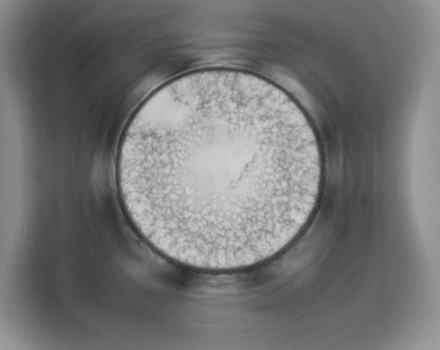 X0000112931338200908311309