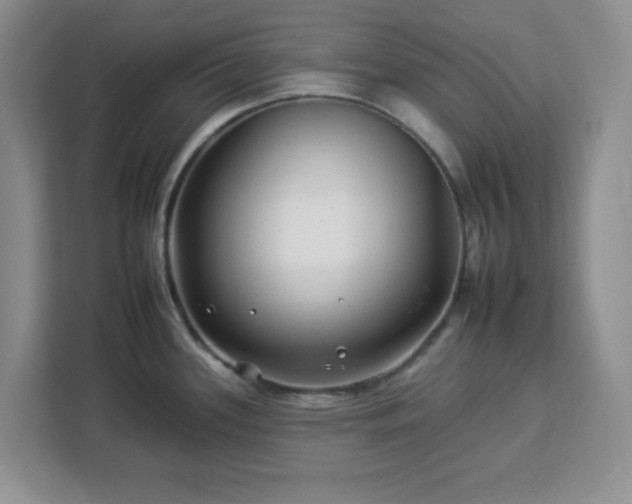 X0000112931339200908311309