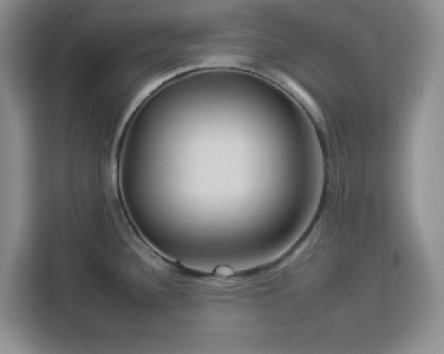 X0000112931340200908311310