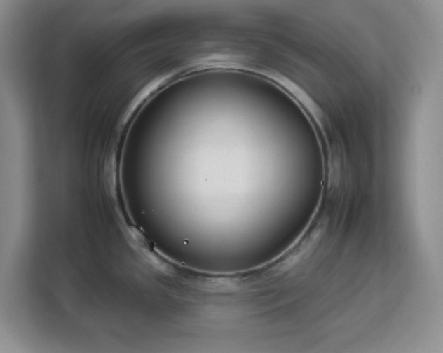 X0000112931341200908311310