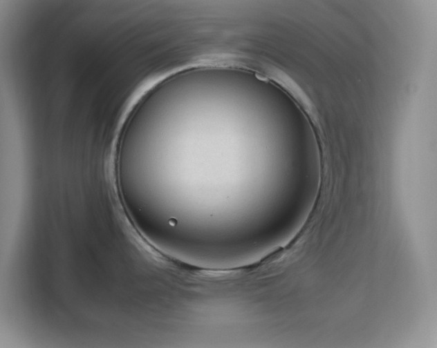 X0000112931344200908311310