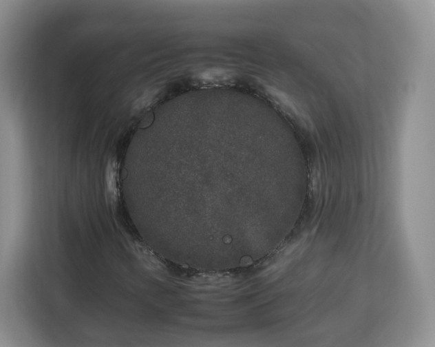 X0000112931346200908311309