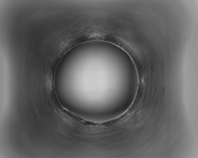 X0000112931348200908311309