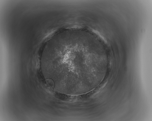 X0000112931350200908311309