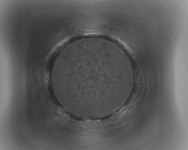 X0000112931351200908311309