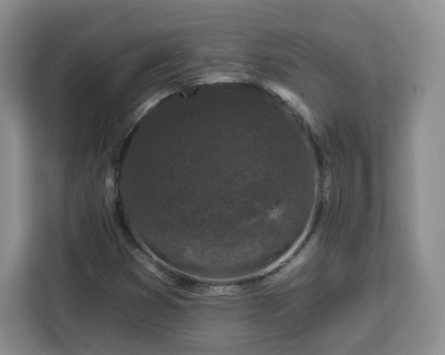 X0000112931353200908311309