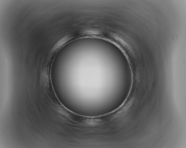 X0000112931354200908311309