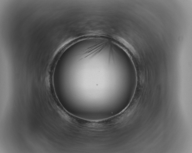 X0000112931356200908311309