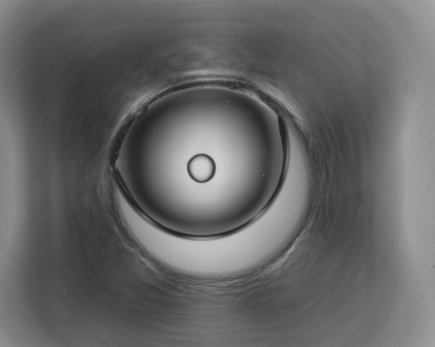 X0000112931357200908311309