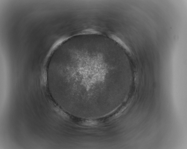 X0000112931358200908311309