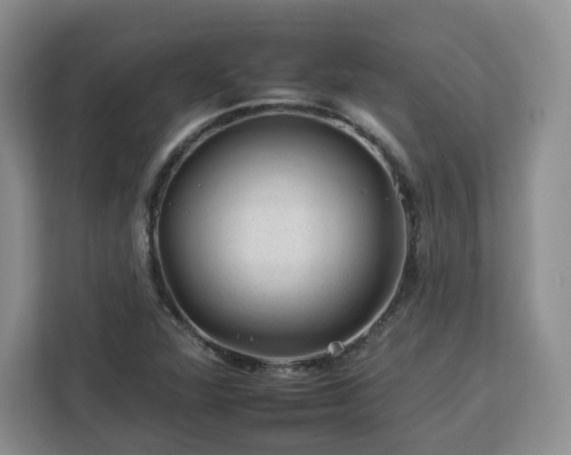 X0000112931360200908311309