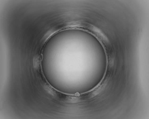 X0000112931361200908311309