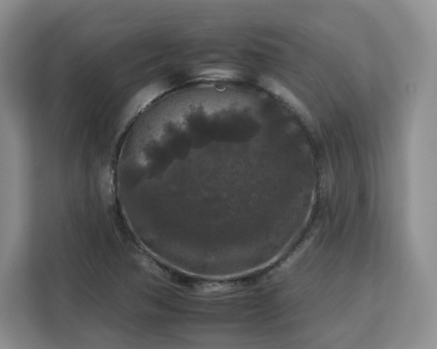 X0000112931362200908311309