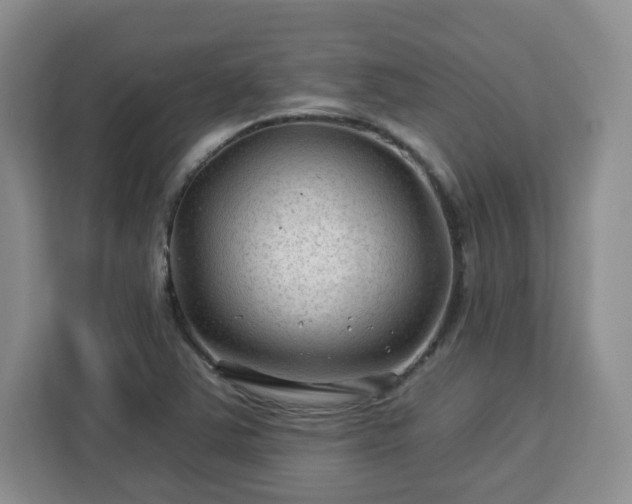 X0000112931363200908311309