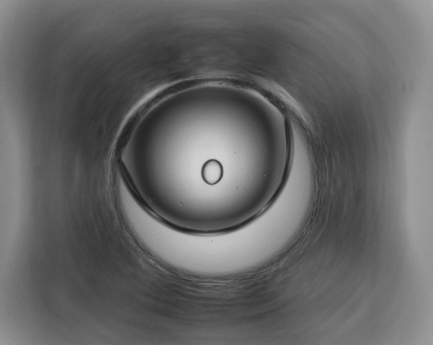 X0000112931364200908311309