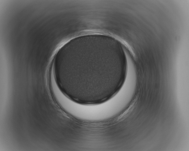 X0000112931365200908311309