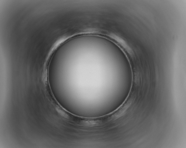 X0000112931366200908311309