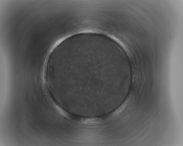 X0000112931367200908311309