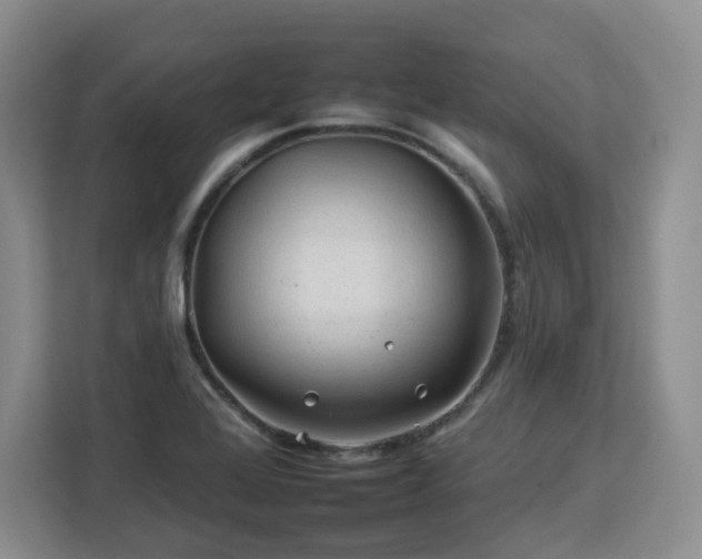 X0000112931368200908311309