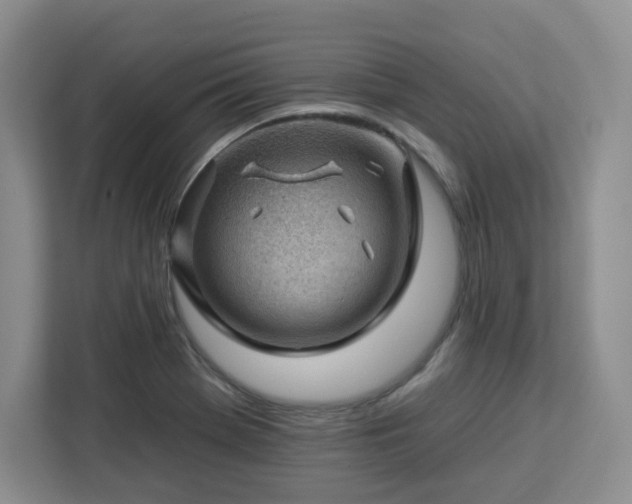 X0000112931369200908311309